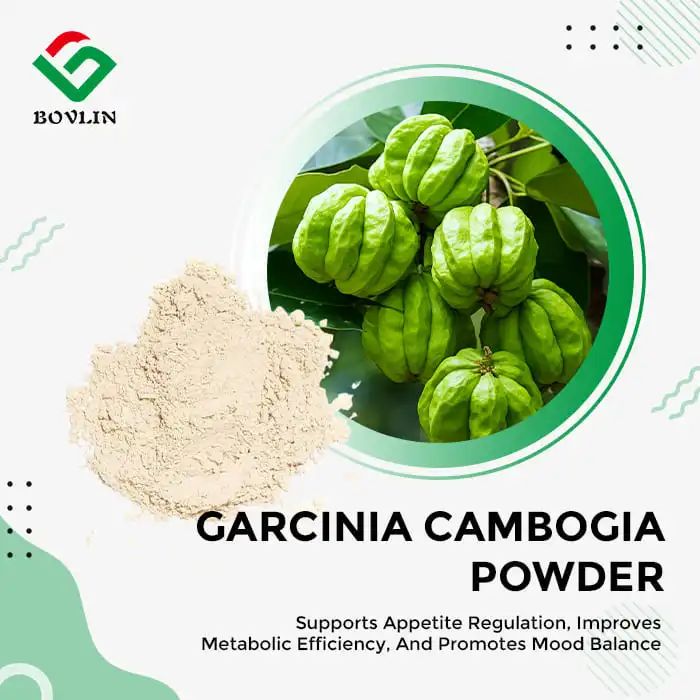 Pure Garcinia Cambogia Extract